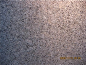 Roma Tropical Brown Granite Slabs & Tiles