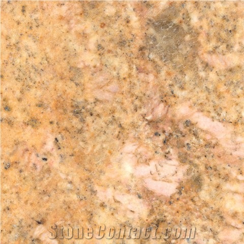 Shalimar Gold Granite Slabs & Tiles