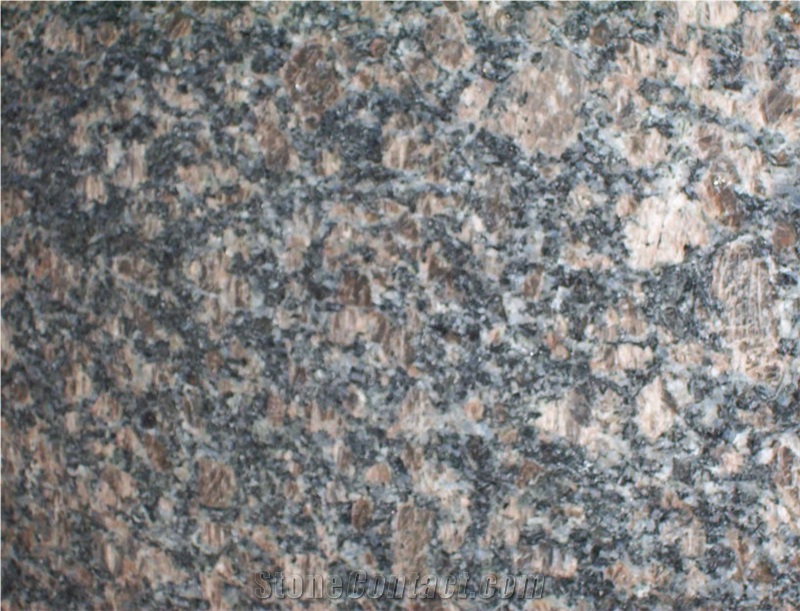 Tan Brown Granite Slab Tile,Tan Brown Granite