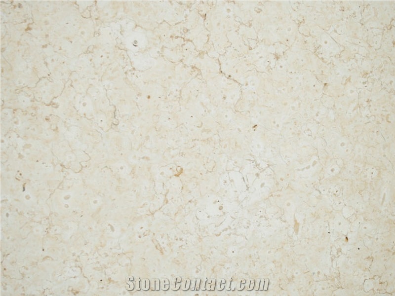 Bone Light Limestone Slabs & Tiles, Israel White Limestone