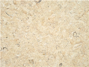Jerusalem Shells Limestone Slabs & Tiles, Israel Beige Limestone