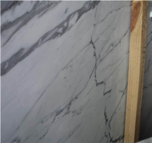 Bianco Venatino or Statuarieto B