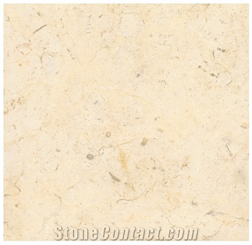 Jerusalem Bone Limestone Slabs & Tiles, Israel White Limestone