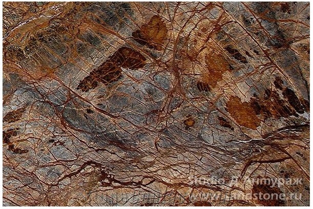 Forest Brown, Rain Forest Brown Marble