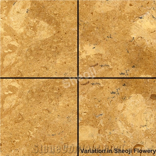 Flowery Limestone Slabs & Tiles, India Yellow Limestone