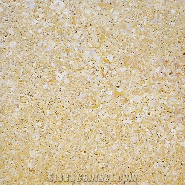 Golden Shellstone Slabs & Tiles