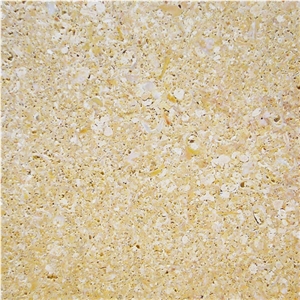 Golden Shellstone Slabs & Tiles