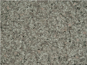 Marry Green Granite Slabs & Tiles, India Green Granite