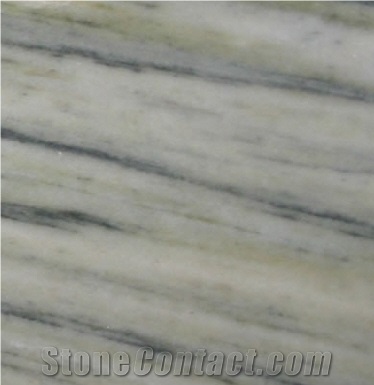 Anasol Marble Slabs & Tiles, Spain Grey Marble