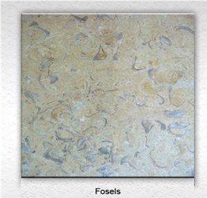 Jerusalem Fossil Limestone Slabs & Tiles