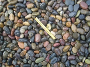 Natural Multi Colour River Pebble Stone