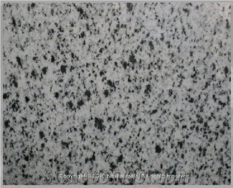 Bianco Halayeb Granite Slabs & Tiles, Egypt White Granite