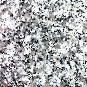 Borujerd White Granite Slabs & Tiles, Iran White Granite