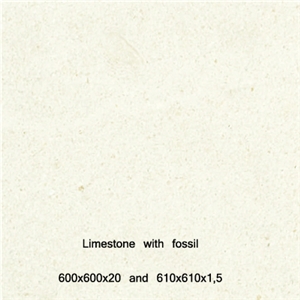 Fossil Limestone Slabs & Tiles