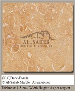Shelly Limestone Slabs & Tiles, Israel Beige Limestone