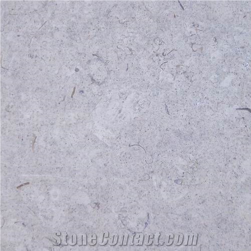 Palestinian Gray Limestone Slabs & Tiles, Palestine Grey Limestone