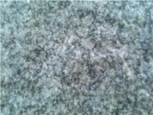 Mudgal Grey Granite Tile Md-5