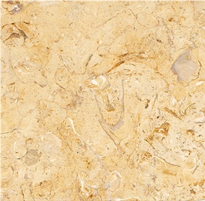 Jerusalem Gold Limestone Tile,israel Yellow Limestone