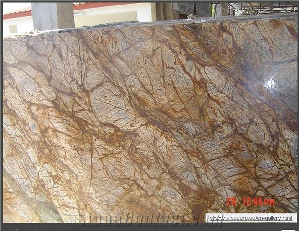 Rain Forest Brown Marble Slab
