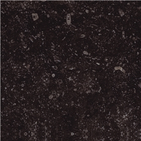 Belgian Blue Limestone - Polished