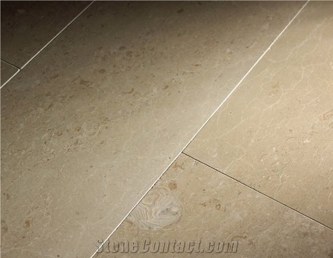 Jerusalem Shells Limestone Floor Tiles