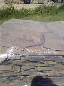 Fossil Natural Sandstone Flagstone