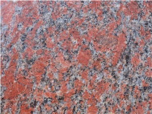 Porphory Red Granite,goa Red Granite Tile
