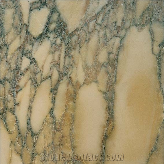 Breccia Imperiale Marble Slabs & Tiles,Italy Yellow Marble