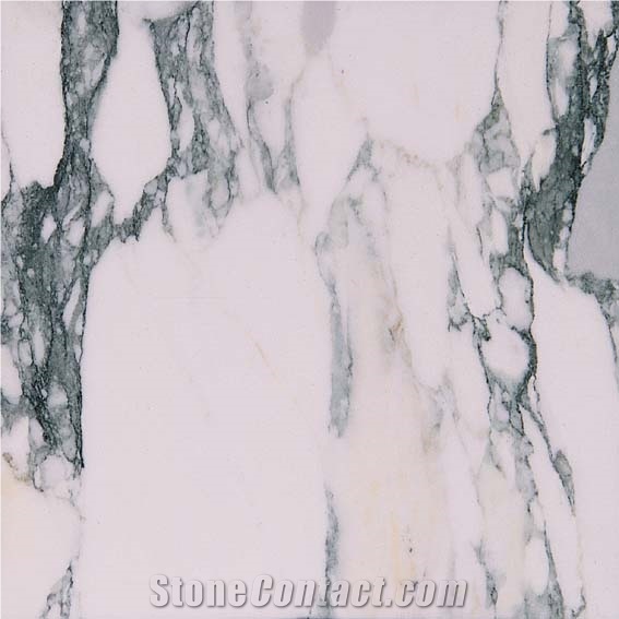 Breccia Verde Versilia Marble Tile, Italy White Marble