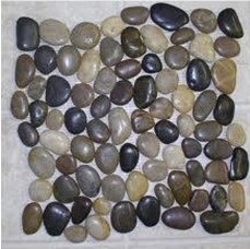 Mixed Pebble Tile/pebble Mosaic