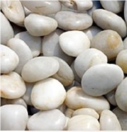 White Riverstone Pebble