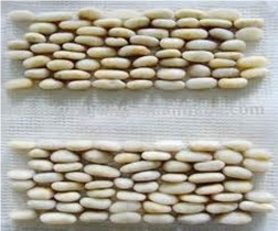 Yellow Stand Pebble Tile