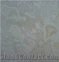 Coral Stone Beige, Dominican Republic Beige Limestone Slabs & Tiles
