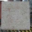Coral Stone Tiles, Dominican Republic Beige Limestone