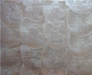 Capiz Shell Mosaic Tile