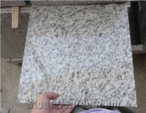Tiger Skin White Tiles, Granite
