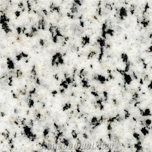 Bianco Halayeb Granite Slabs & Tiles,Egypt White Granite