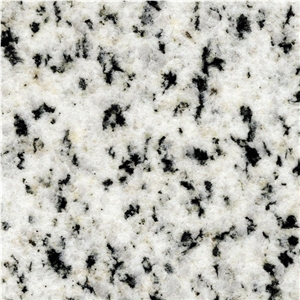 Bianco Halayeb Granite Slabs & Tiles,Egypt White Granite