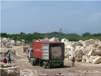 Coralina Limestone Block, Dominican Republic White Limestone