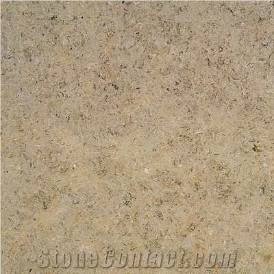 Teriesta Limestone Slabs & Tiles,Egypt Beige Limestone