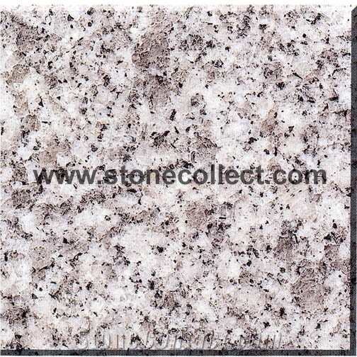 G602 Granite Tiles, Slabs (similar with Silver Gre