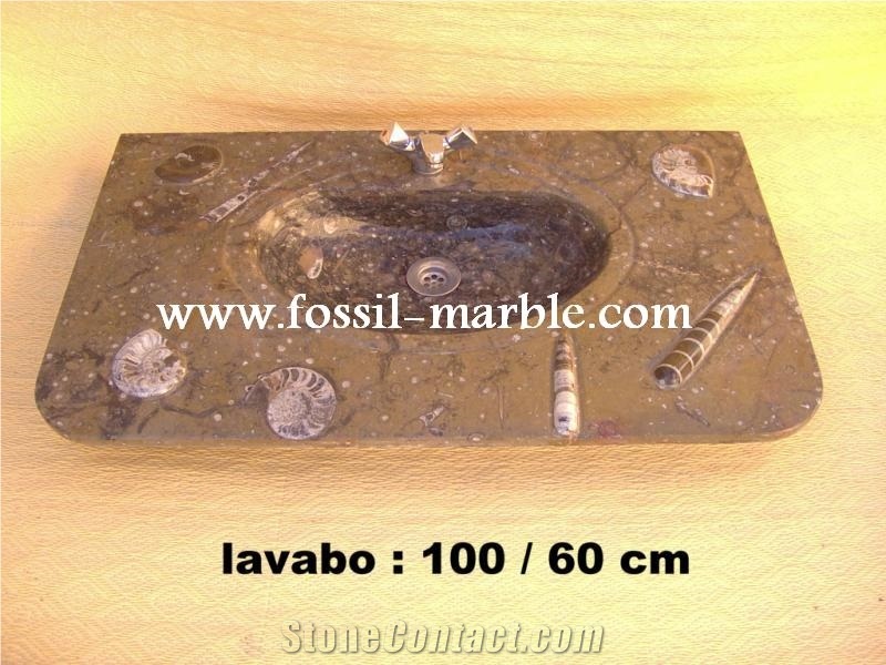 Fossil Brown Limestone Basin