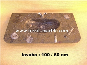 Fossil Brown Limestone Basin