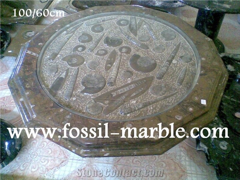 Fossil Brown Limestone Table