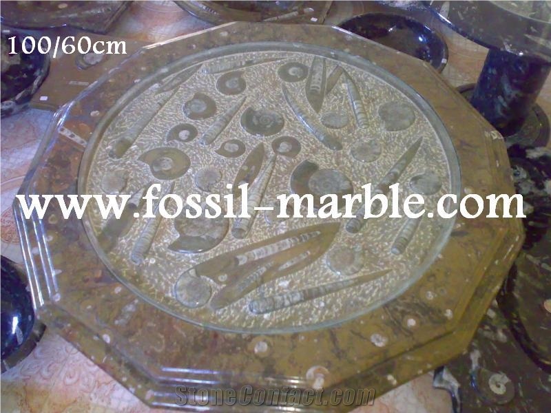 Fossil Brown Limestone Table