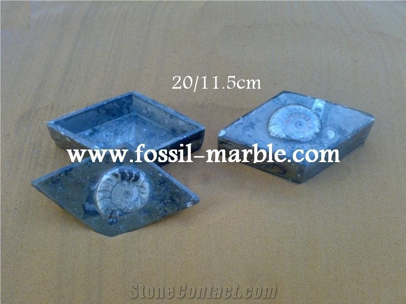 Fossile Black Limestone Decorative Products
