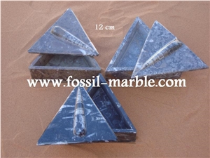 Moroccan Fossile Black Boxes, Fossilized Stone Black Marble Home Decor