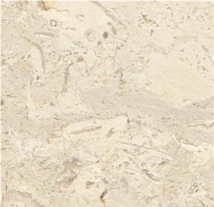 Filetto Hassana Limestone Tile, Egypt Beige Limestone