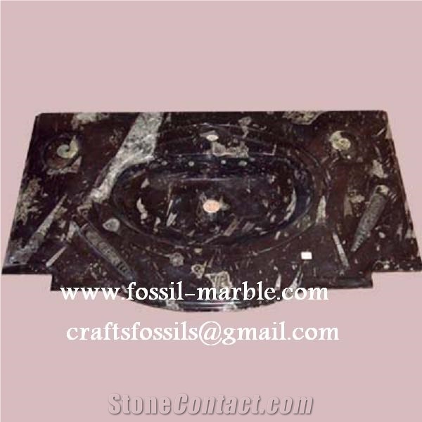 Fossil Black Limestone Sink