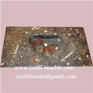 Fossil Brown Limestone Sink, Fossil Limestone Brown Marble